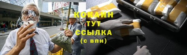 МДПВ Карпинск