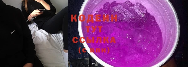 МДПВ Карпинск