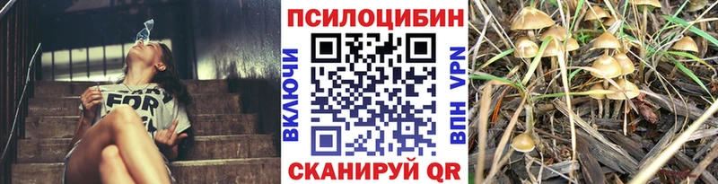 Псилоцибиновые грибы прущие грибы  Яровое 
